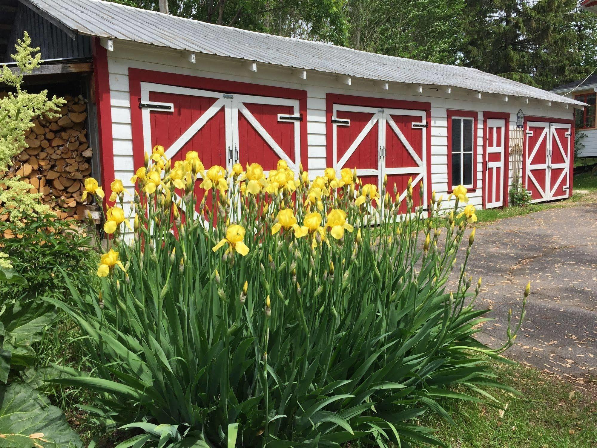 Almatoit Bed and Breakfast Exteriör bild